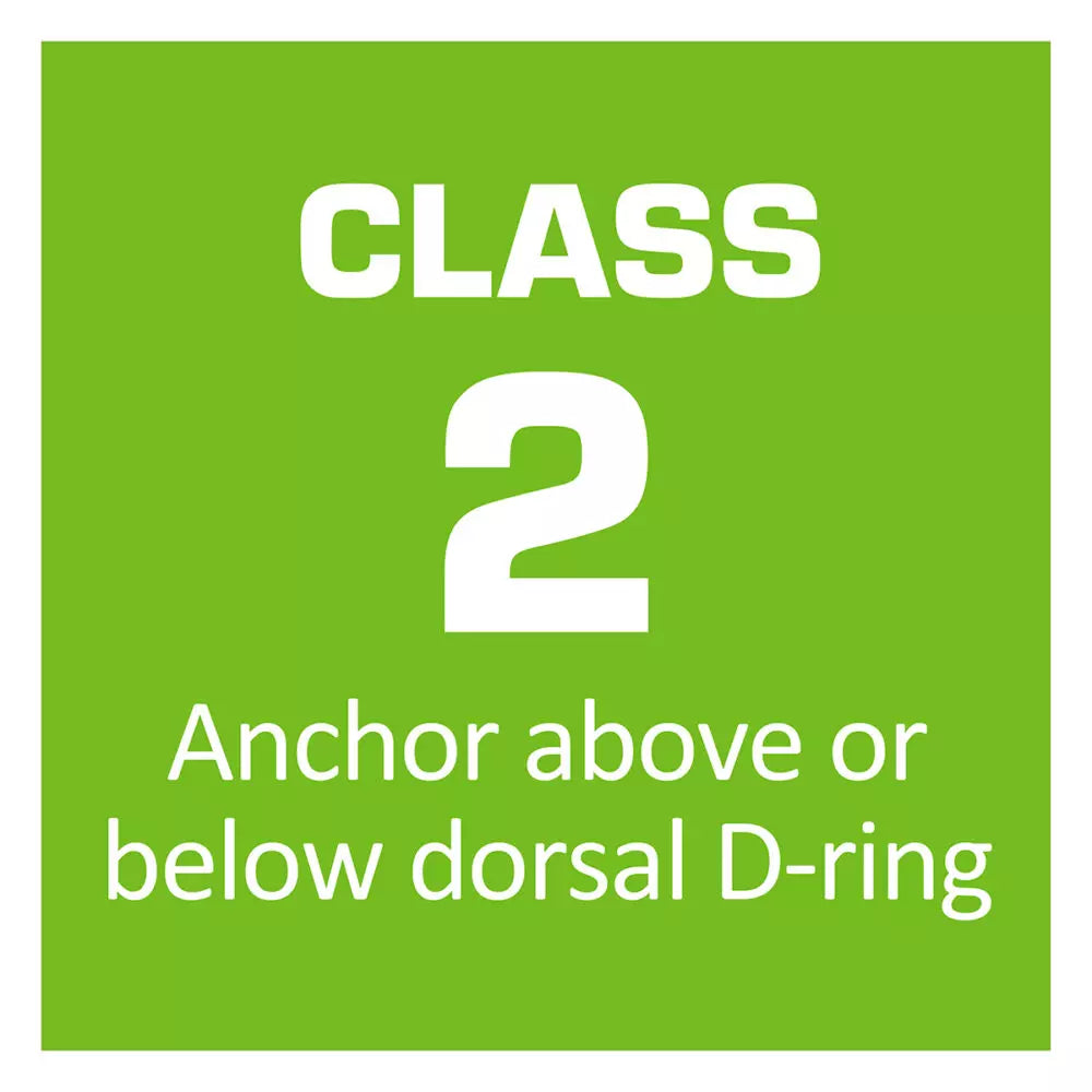 Safewaze 024-5381 Latitude Edge 6' Dual Web SRL-P product image
