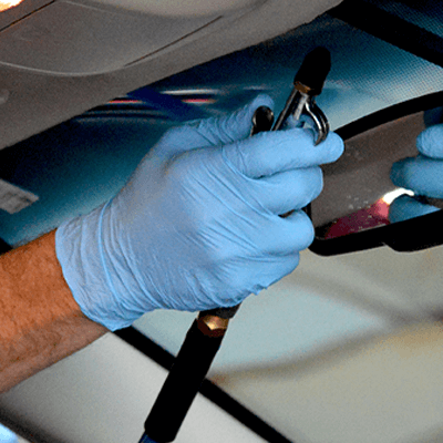 AMMEX X342100 glove - disposable