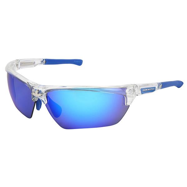 Safety Safety Glasses - Model DM1328BC