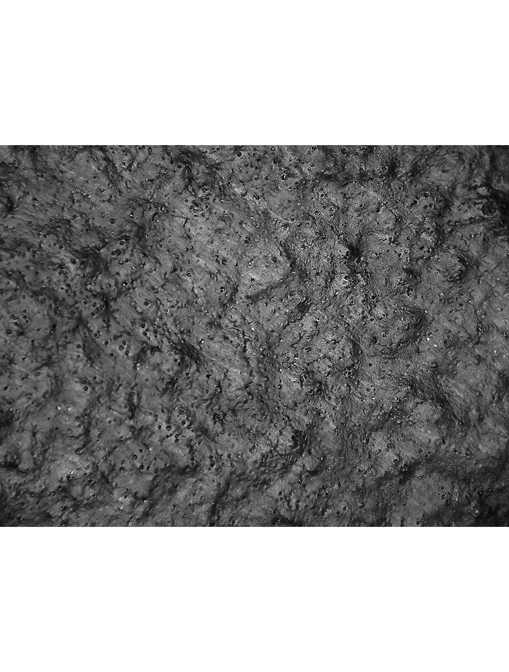 Tsunami Grip® - CR609-VP - Gloves - cut level A4 - black