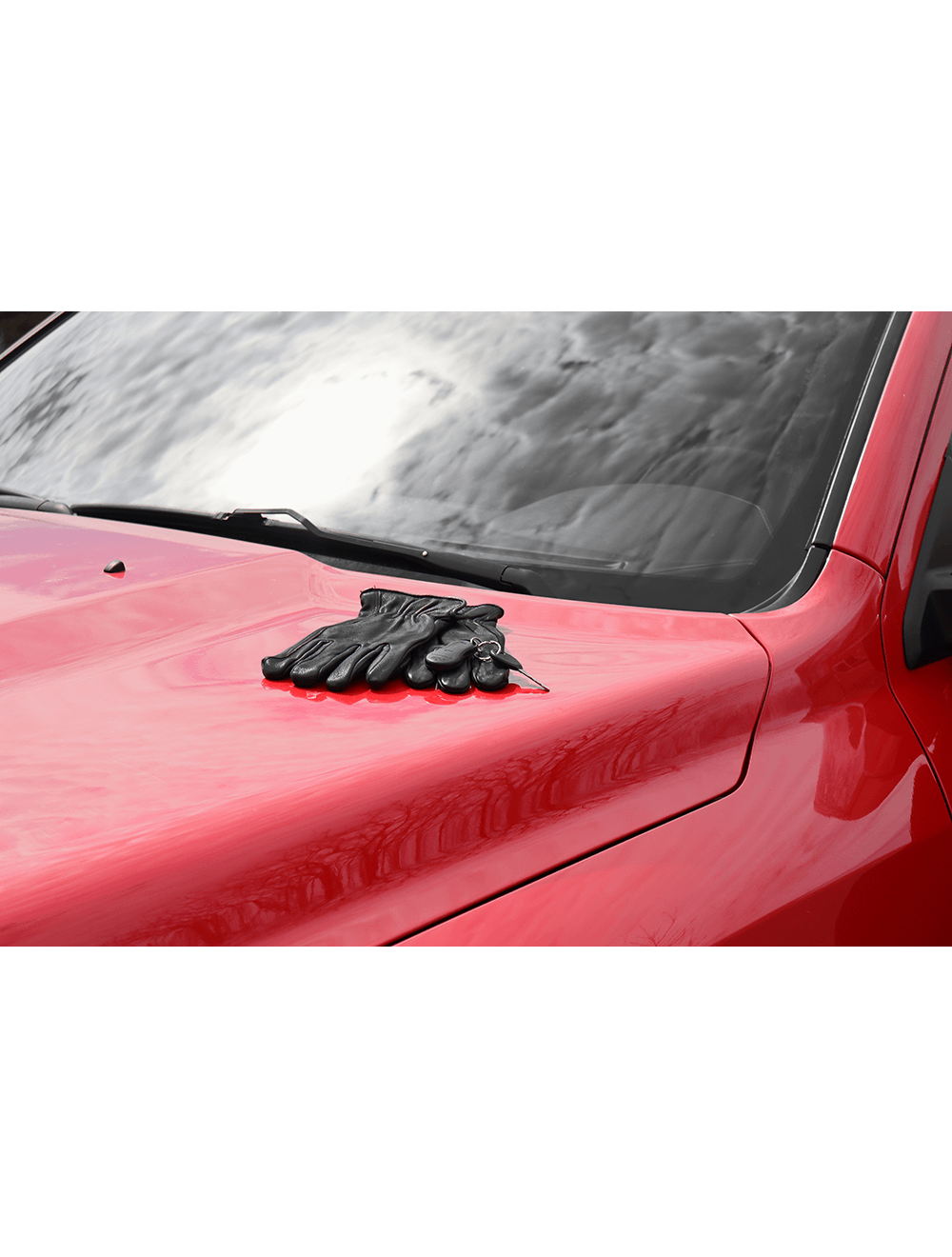 Global Glove - 3200DTHB - Gloves - insulated - black