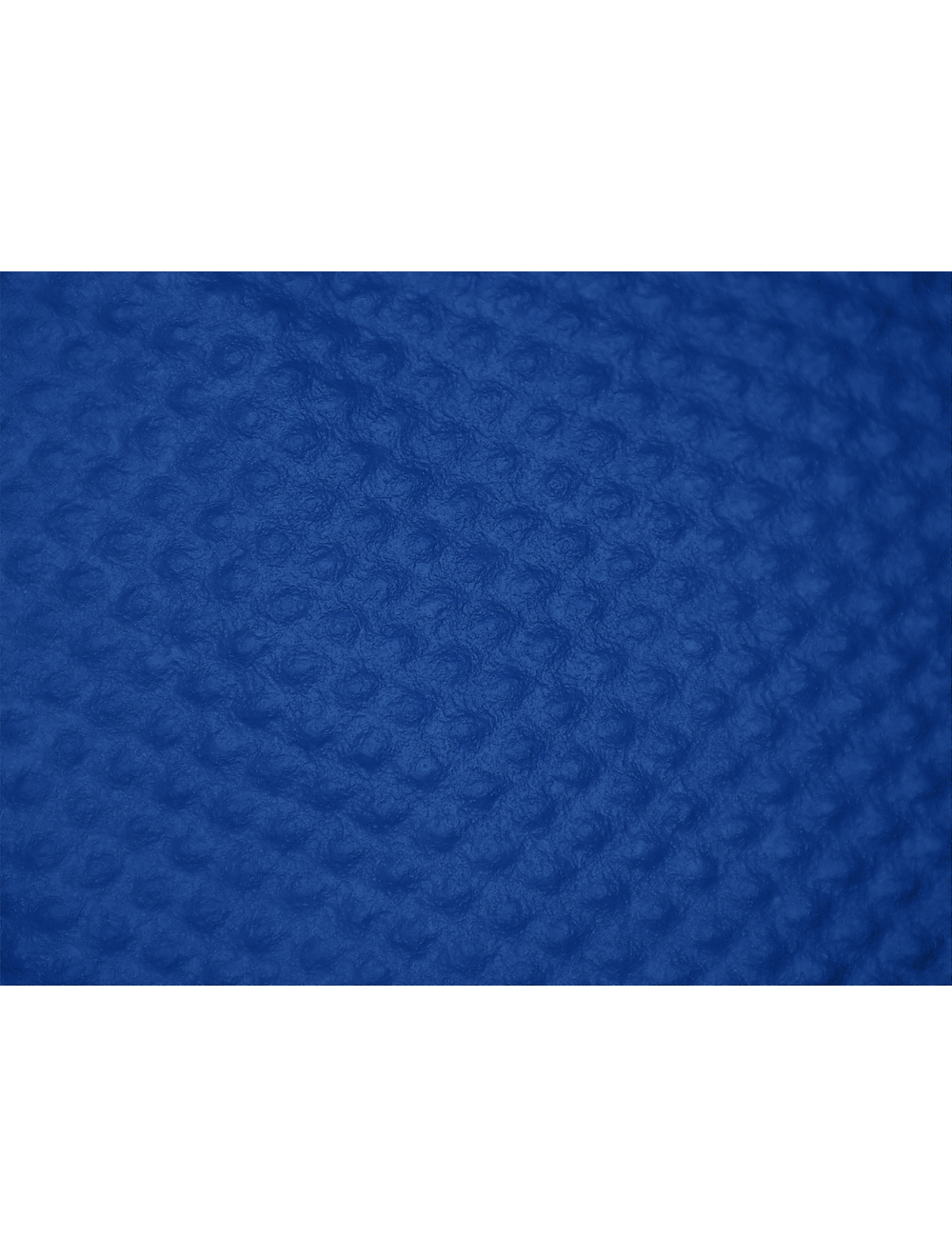 Panther-Guard® - 1005PF - Disposable Gloves - nitrile coating - blue