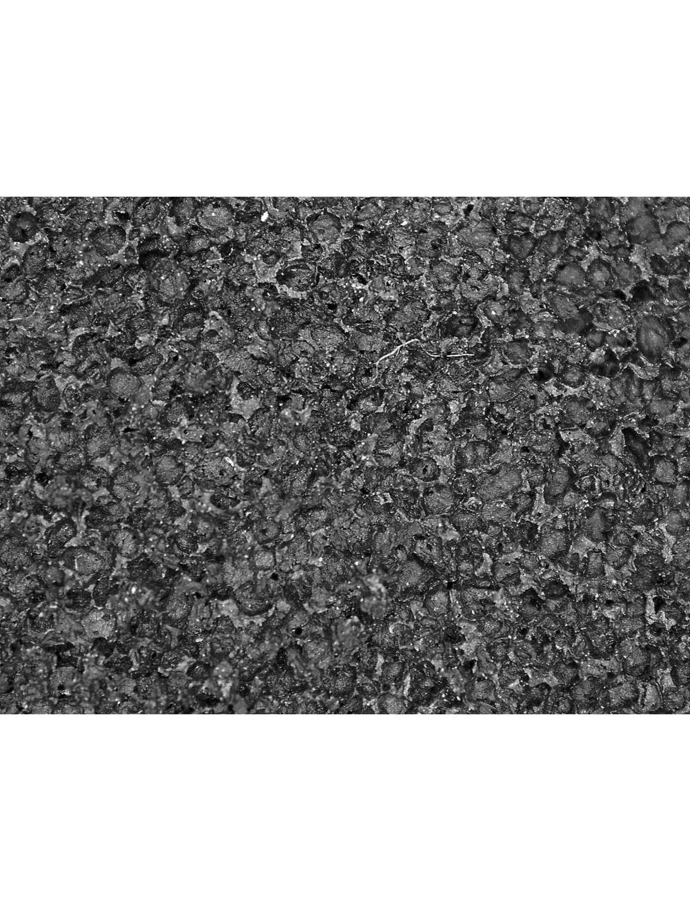 Torq Alpin™ - TQ500 - General Purpose Gloves - cut level A1 - red