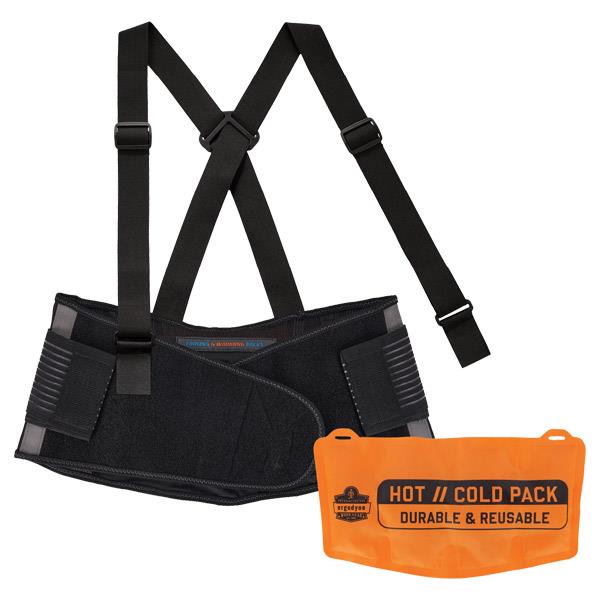 Ergodyne ProFlex 1675 Back Support w/ Cooling/Warming Pack