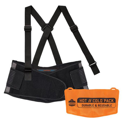 Ergodyne ProFlex 1675 Back Support w/ Cooling/Warming Pack