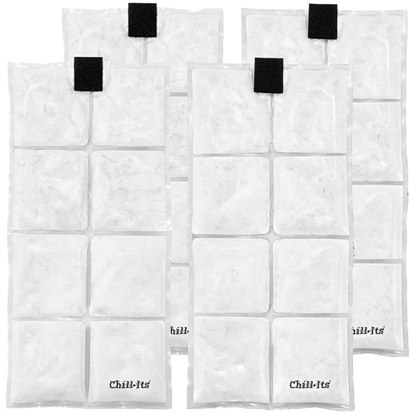 Ergodyne Chill-Its 6250 Rechargeable Phase Change Ice Packs, 4/Pkg