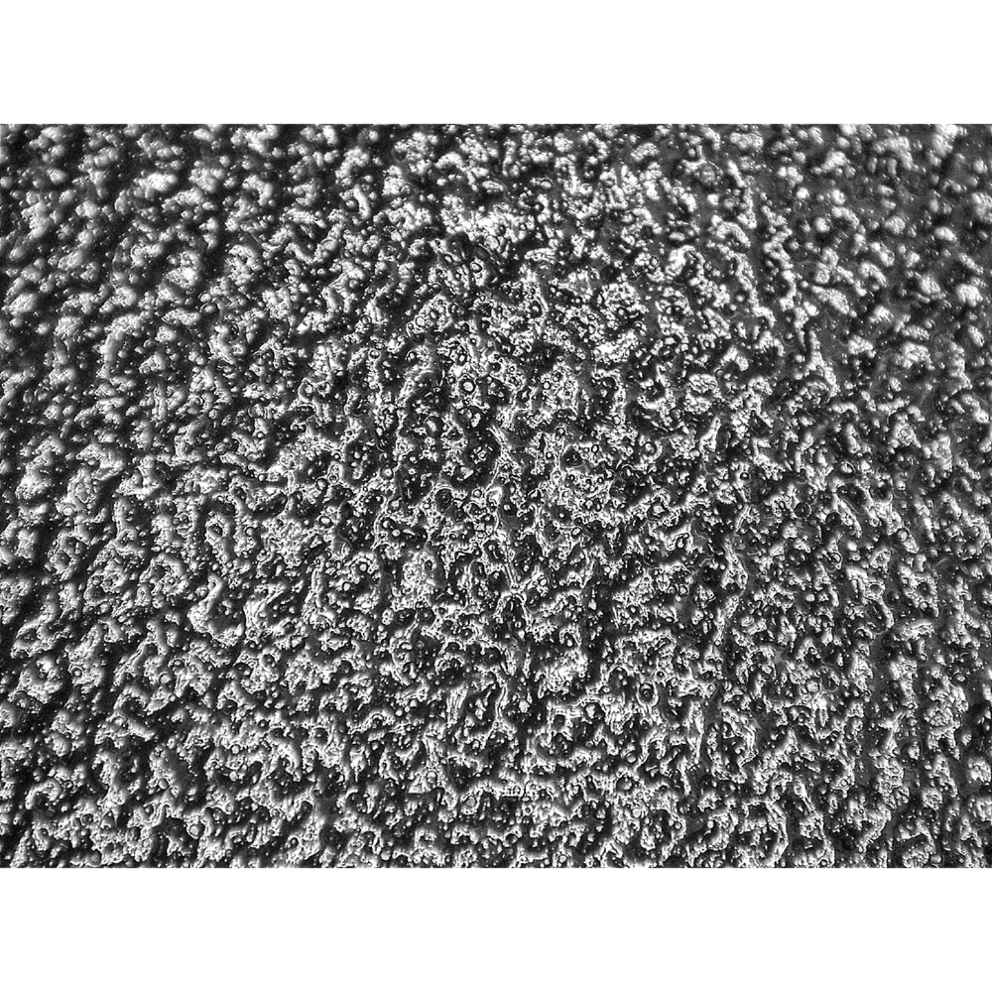 Global Glove 550B official product image 4