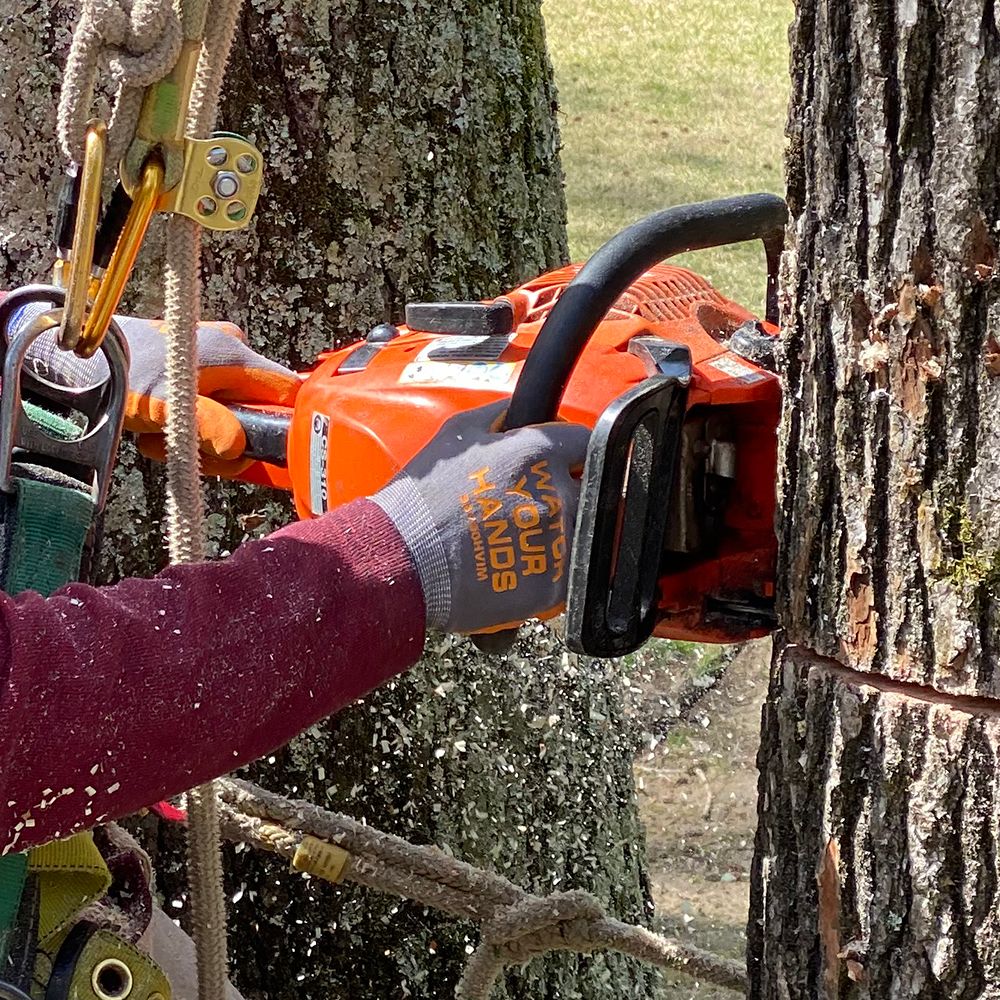 96790HVI - Hi-Visibility Palm Work Gloves - 15 Gauge Gray Nylon Shell - Hi-Vis Orange Nitrile Foam Palm and Fingertips - Watch Your Hands Logo on Back - Orange "Watch Your Hands" Logo Serves as a Reminder to Be Safe
