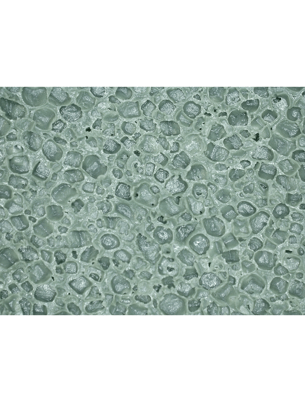 FrogWear® - 282 - Gloves - nitrile coating - green