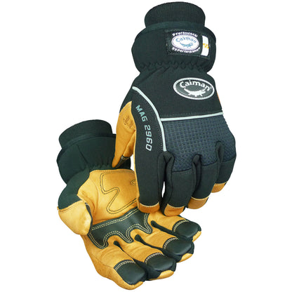 Caiman 2960 – Multi-Activity Glove with Pig Grain Leather Padded Palm and Waterproof Back - Heatrac® Insulated