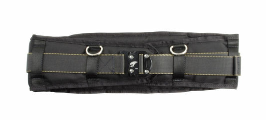 3M DBI-SALA Comfort Tool Belt With Hip Pad Lg/xl
