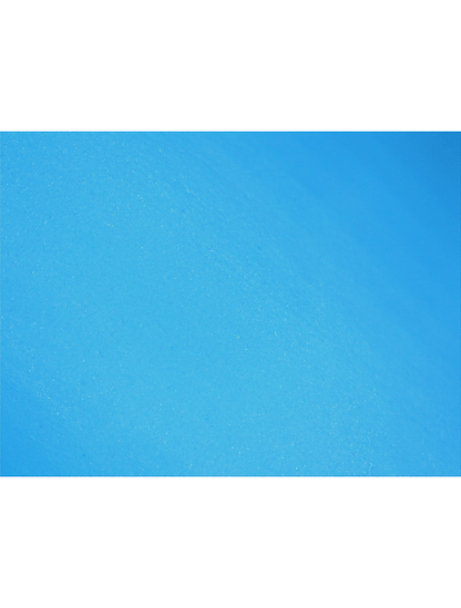 Panther-Guard® - 405PF - Disposable Gloves - nitrile coating - blue