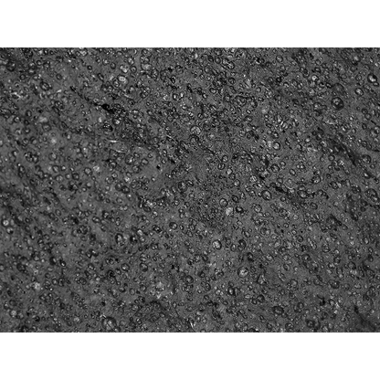 Global Glove 500NFT official product image 4