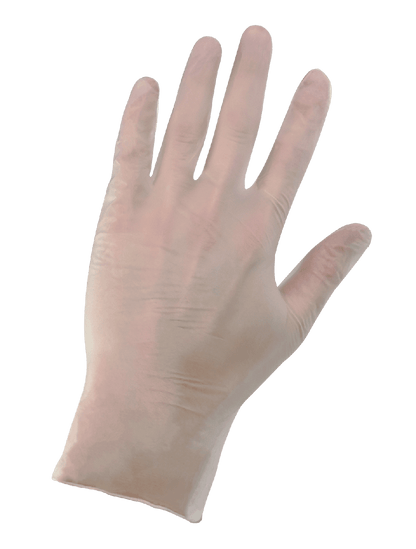 Vinyl, 505PF Disposable Gloves - latex - clear