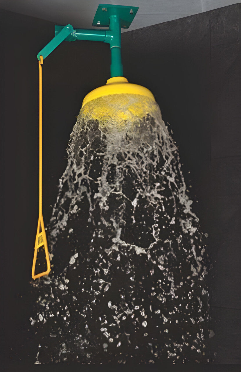 ZING Safety Shower, Ceiling Mount, ABS Shower Dome - official Zing product image 2