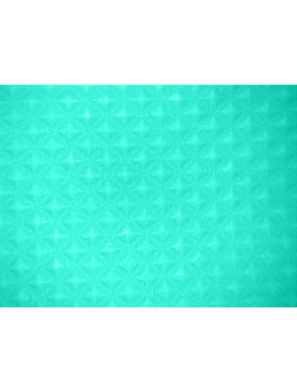 FrogWear® - 522 - Unsupported Gloves - nitrile coating - green