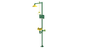 53111111 Safety Shower