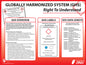ZING GHS Poster - Introduction To GHS, 18X24 - official Zing product image 1