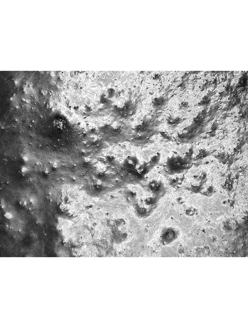 Global Glove - 618R - Gloves - pvc coating - black