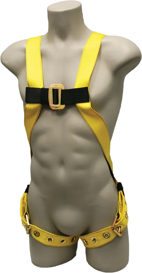 651 Full Body Harness