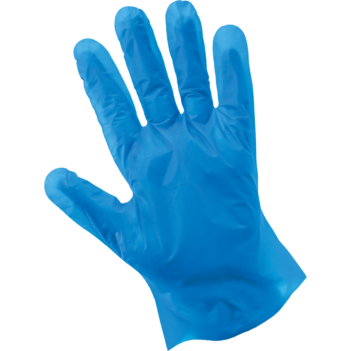 Globus Global Safety - 8605PF Disposable Gloves - view 4