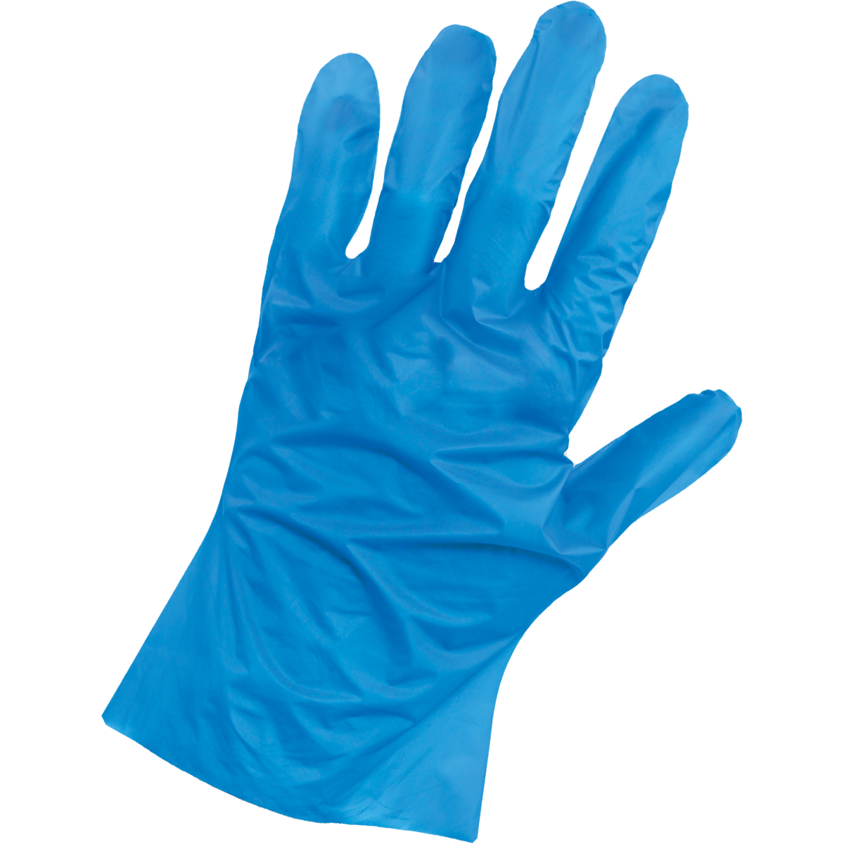 Globus Global Safety - 8605PF Disposable Gloves - view 3