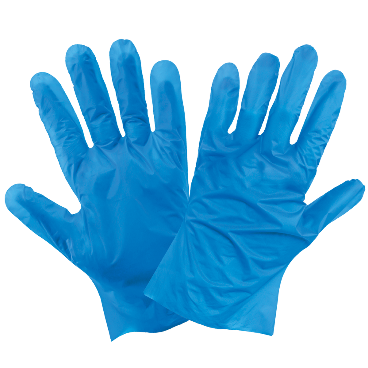 Globus Global Safety - 8605PF Disposable Gloves