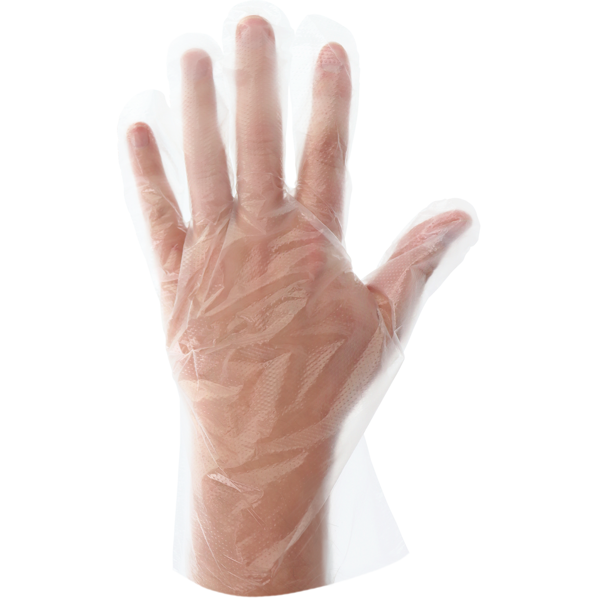 Globus Global Safety - 9600 Disposable Gloves - view 3