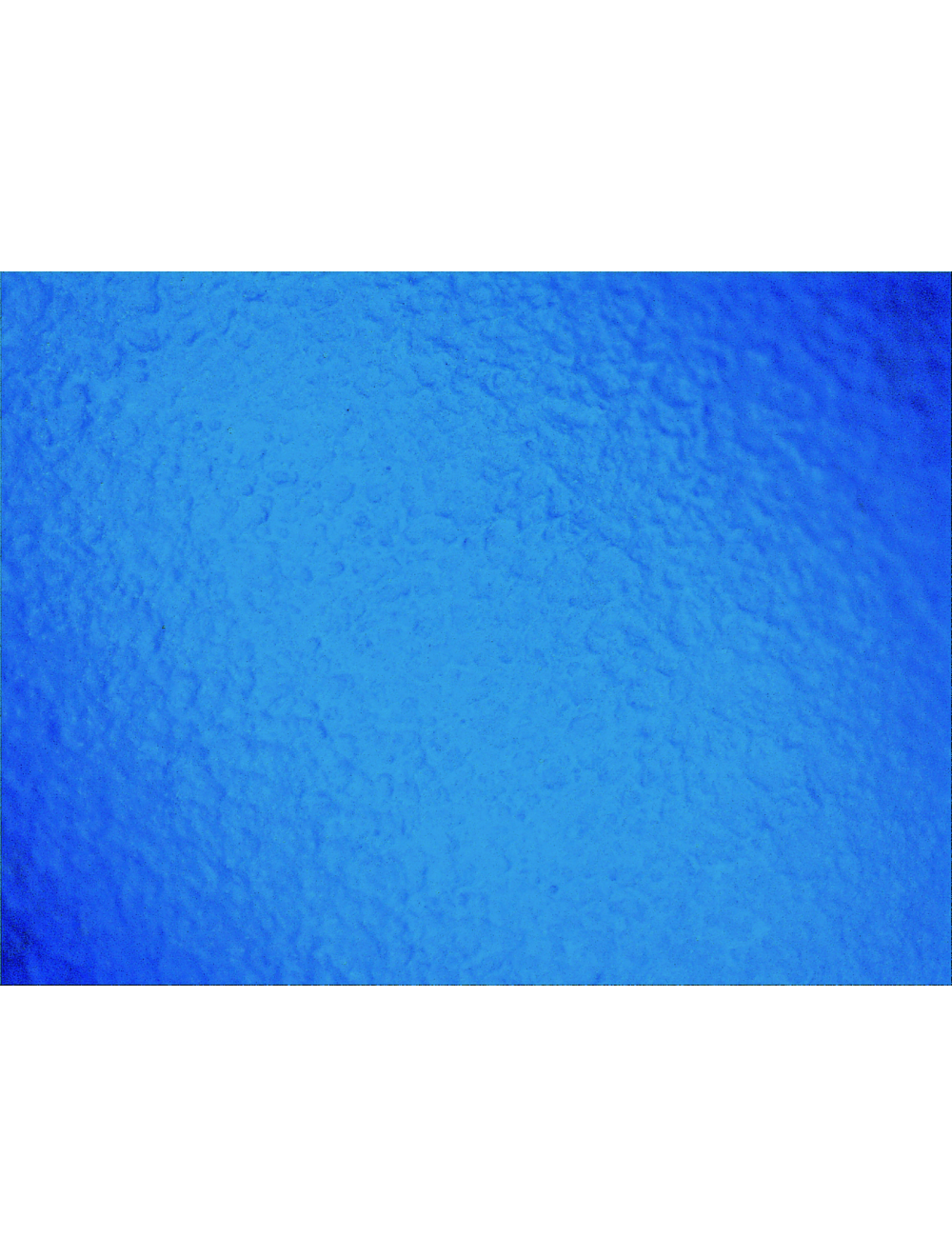 Global Glove - 705PFE - Disposable Gloves - nitrile coating - blue