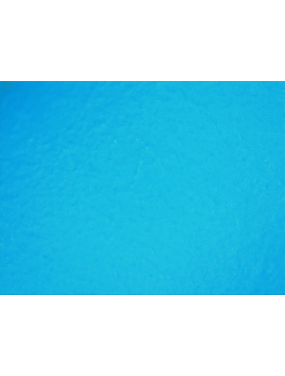 Global Glove - 705PF - Disposable Gloves - nitrile coating - blue