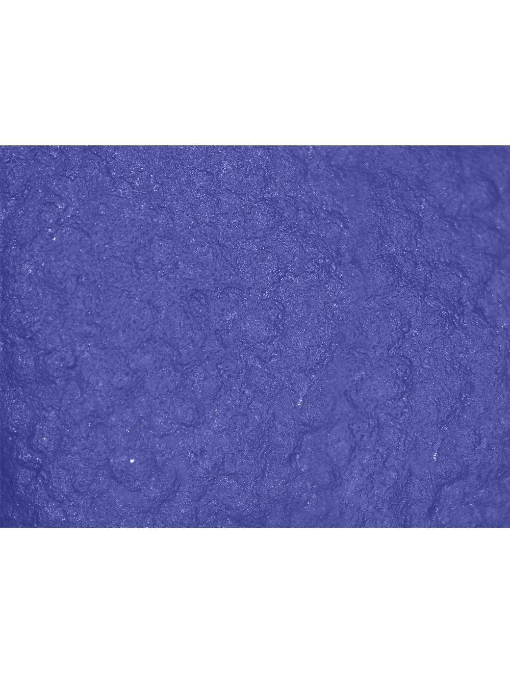 Global Glove - 705VPF - Disposable Gloves - nitrile coating - blue