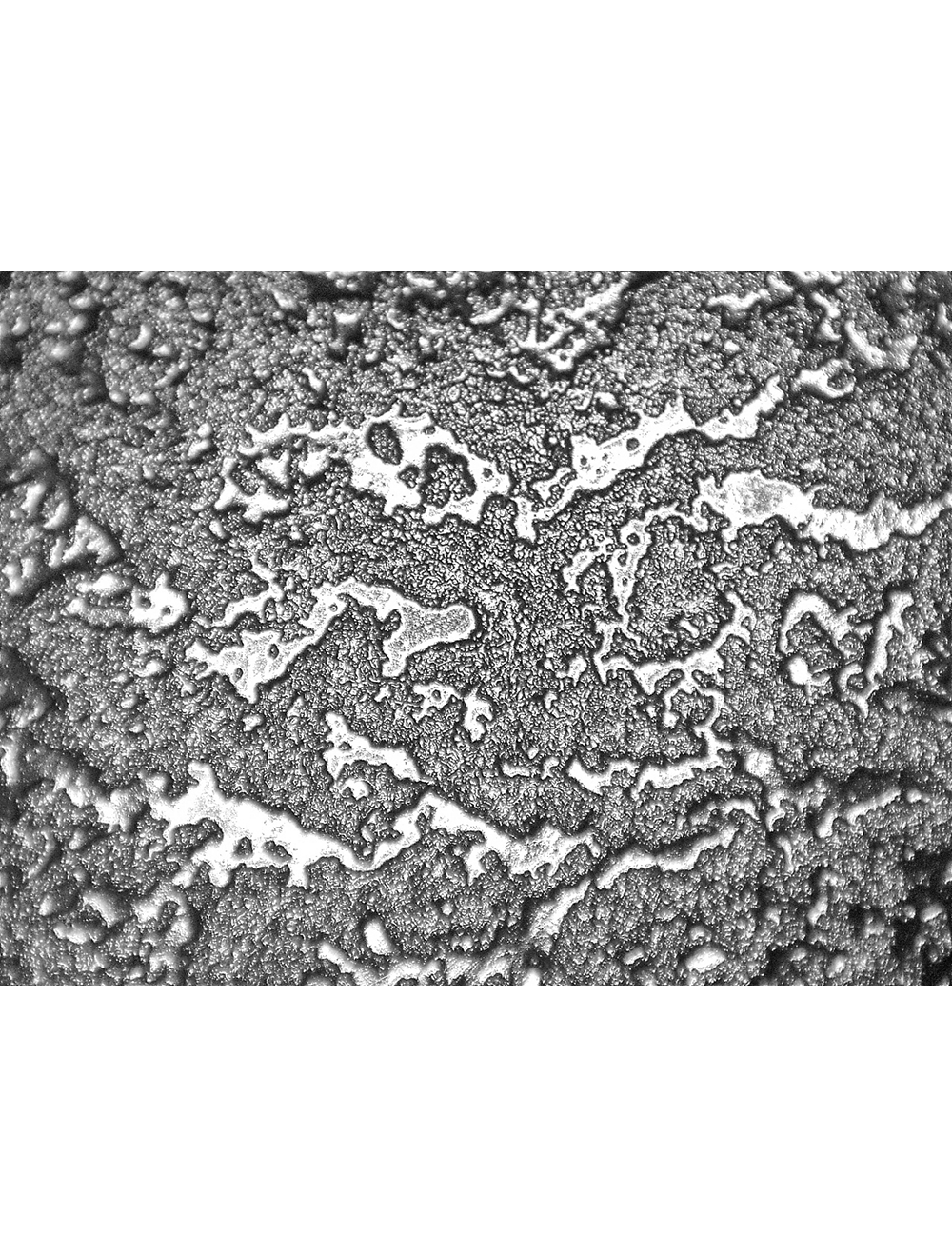 Global Glove - 718R - Chemical Handling Gloves - pvc coating - black