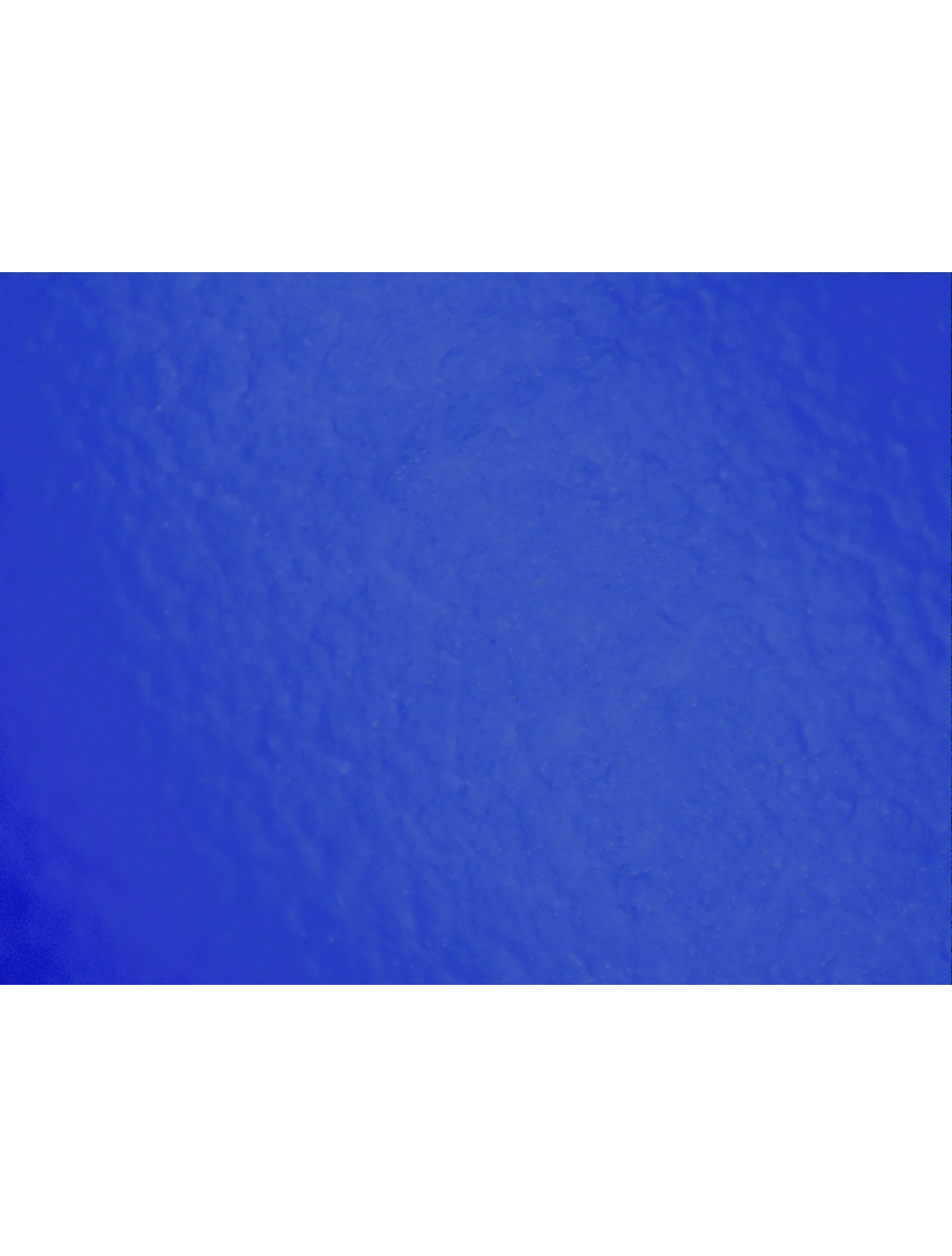 Global Glove - 725PF - Disposable Gloves - nitrile coating - blue