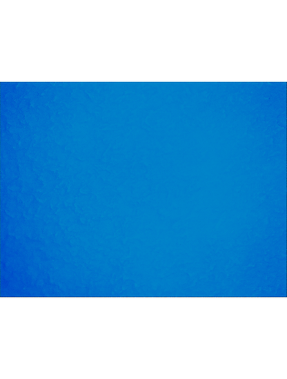 Global Glove - 805PF - Disposable Gloves - nitrile coating - blue