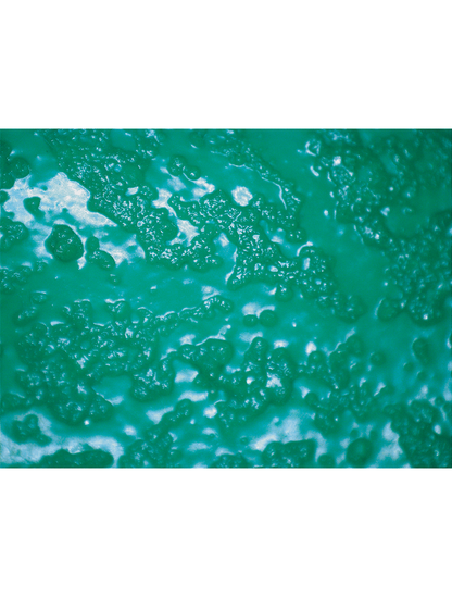 FrogWear® - 8772 - Supported Gloves - nitrile coating - green