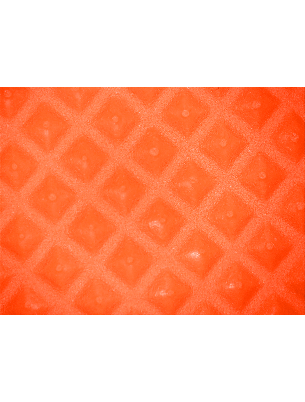 Panther-Guard® - 904PF - Disposable Gloves - nitrile coating - orange