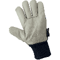 Global Glove - 2950KW - Leather Palm Gloves - insulated - blue