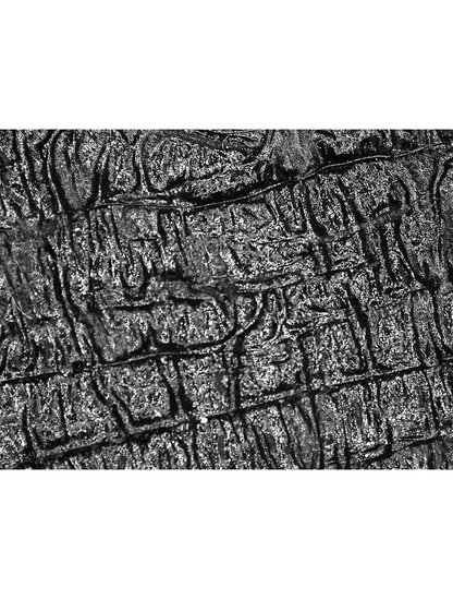 FrogWear® - 9912R - Chemical Handling Gloves - cut level A2 - black