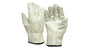 GL2004 - Select Cowhide Driver