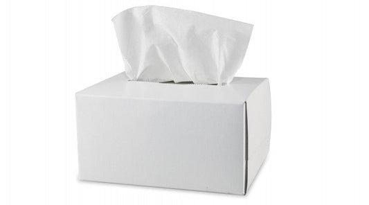 Pyramex Lens Cleaning Tissues Safety Goggles 300 model LT300
