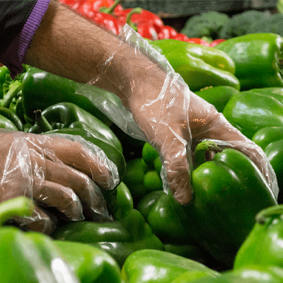 X3 Poly Gloves - 500