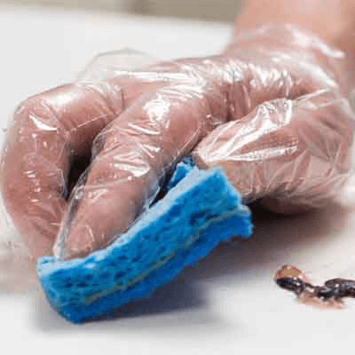 X3 Poly Gloves - 500