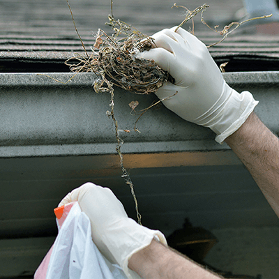 Gloveworks Ivory Latex PF Ind Gloves