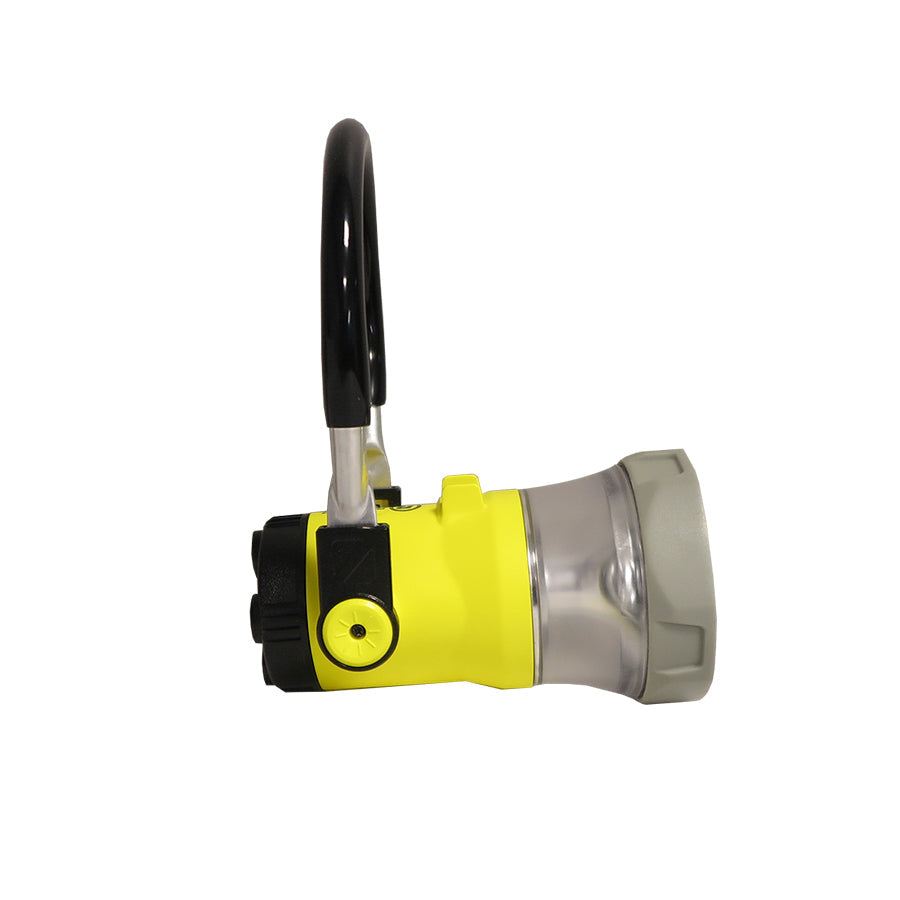 Trainman Lantern Clear LED With Magnet 3 C batteries included