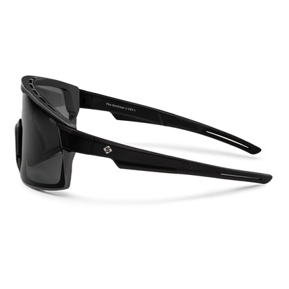 Sentinel Z87+ Safety Glasses
