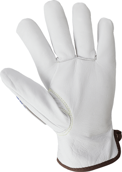 Global Glove CIA7000INT official product image 5