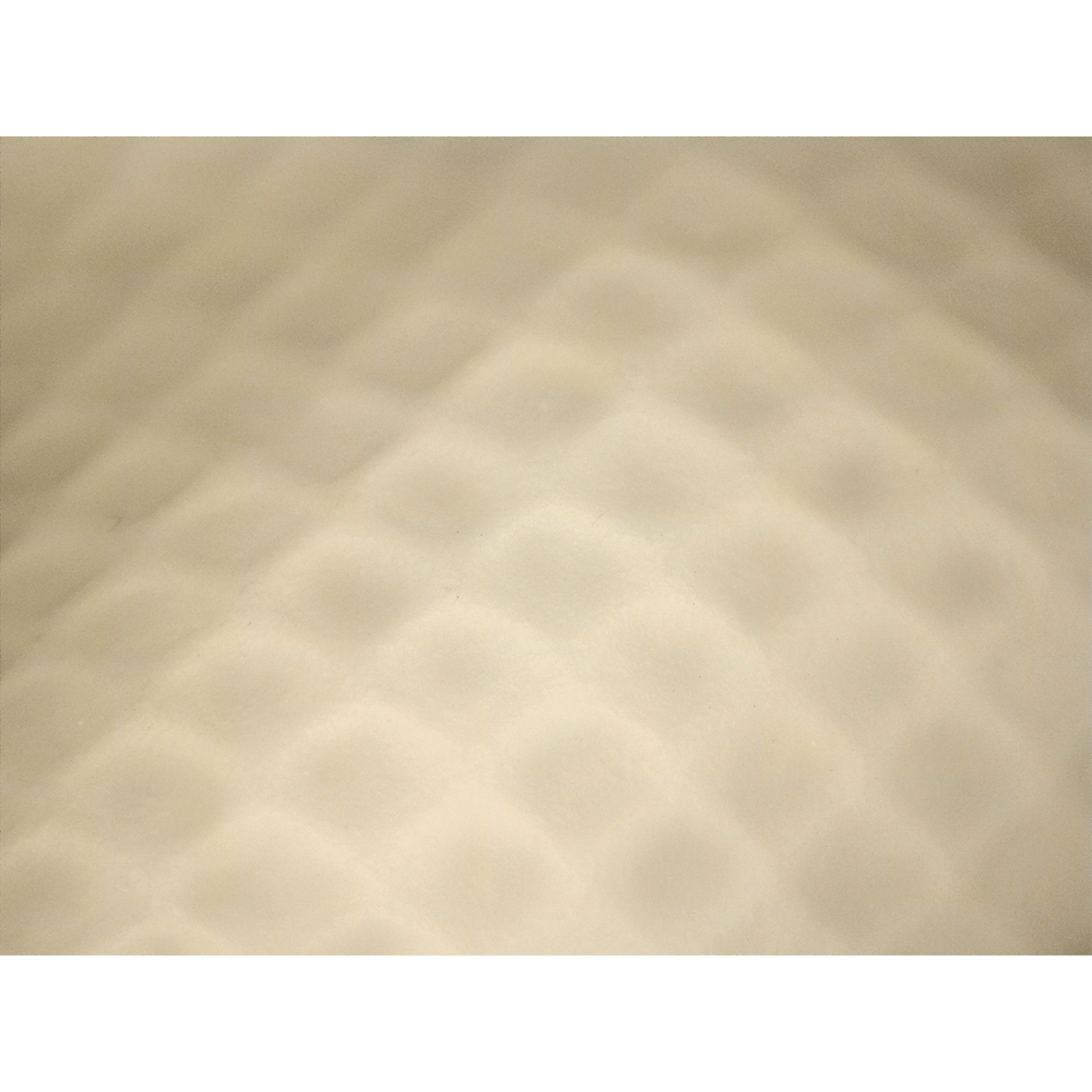 Global Glove 160 official product image 4