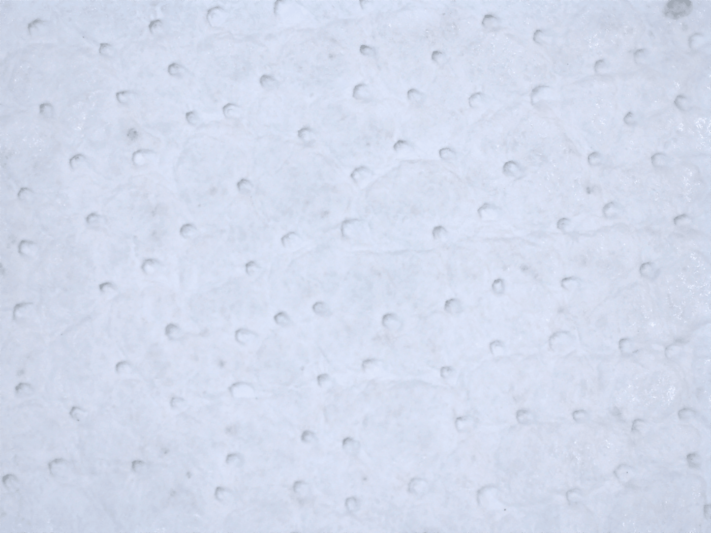 Global Glove CIA7700 official product image 7