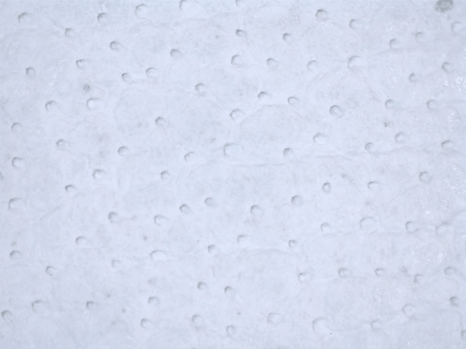 Global Glove CIA7700 official product image 7
