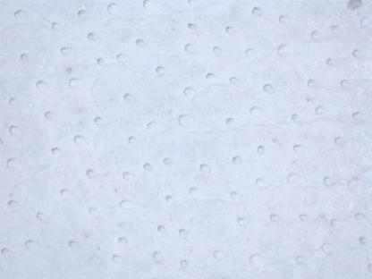 Global Glove CIA7700 official product image 7